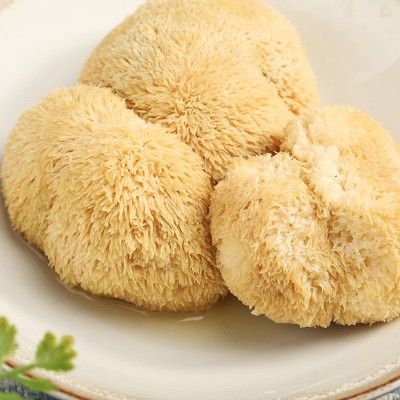 万传鲜食用菌干货 古田特产猴头菇 养胃煲汤食材菌菇厂家代发批发图4