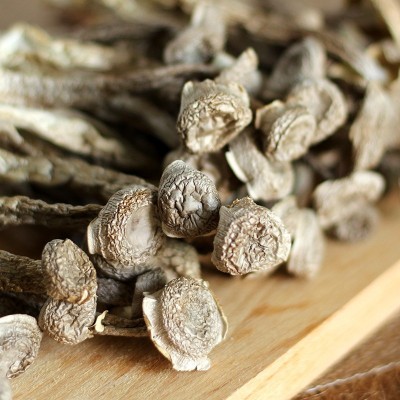 鹿茸菇250g鹿茸菌云南 食用菌干货 农家特产煲汤炒菜厂家批发代发图2