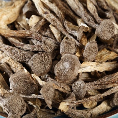 鹿茸菇250g鹿茸菌云南 食用菌干货 农家特产煲汤炒菜厂家批发代发图4