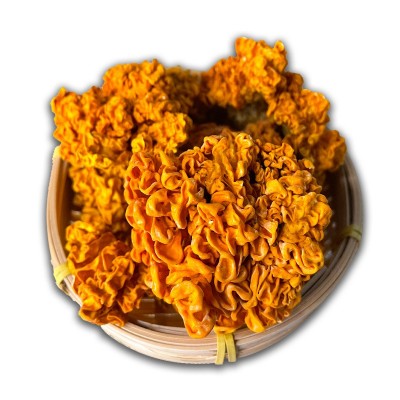 椴木金耳云南特产深山金耳菌黄耳黄木耳菌黄金耳菌菇冻干金耳干货图5