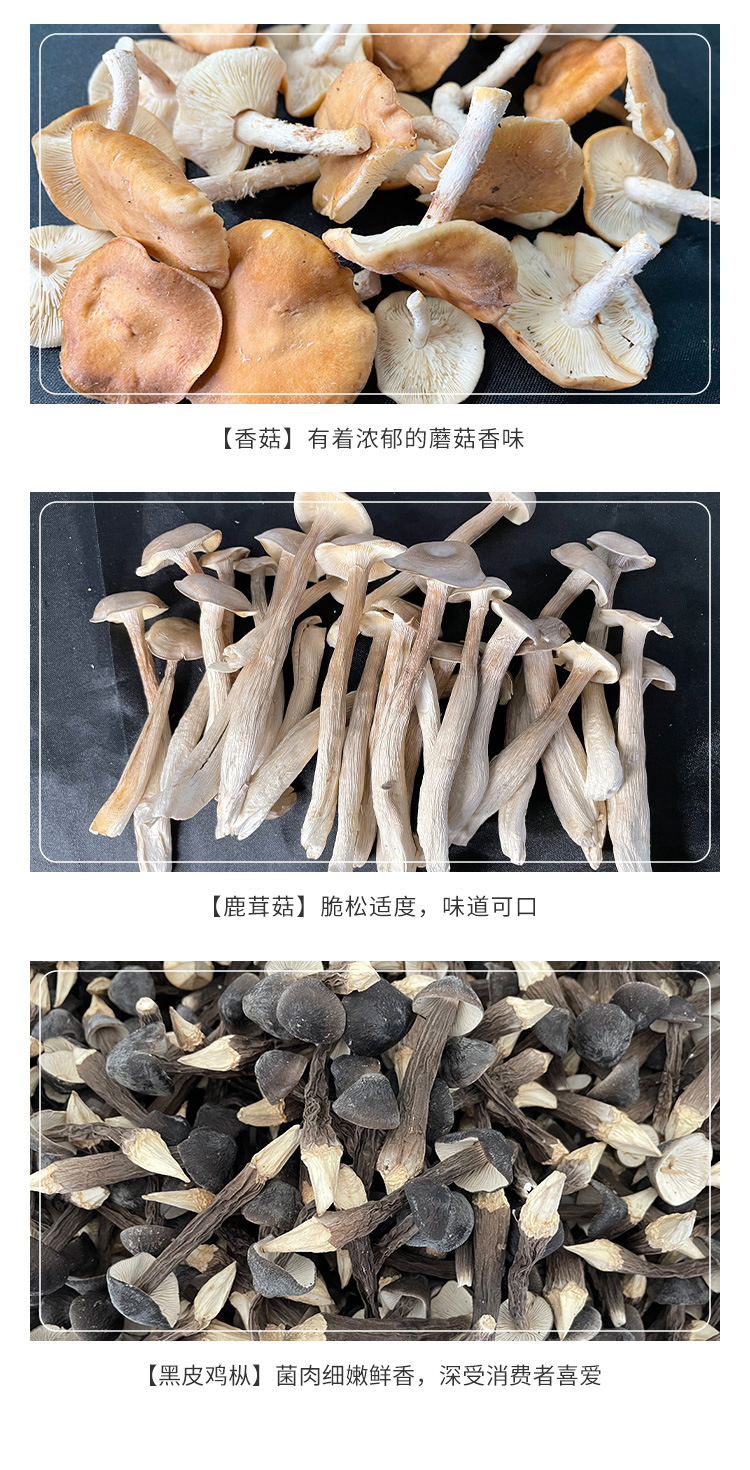 FD菌汤包详情页zz_04.jpg