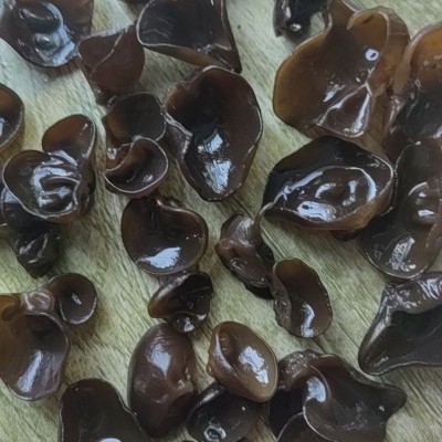 东北黑木耳干货批发 小碗耳干木耳 散货批发 木耳 250克 1.5cm图5