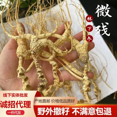 林下参干货22年微残长白山野山参新鲜人参中药材煲汤泡酒自用实惠图2