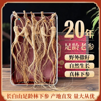 长白山林下参干货整支生晒20年散装野山人参林下籽产地批 发礼盒装图3