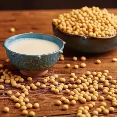 2023年有机黄豆东北非转基因打豆浆生豆芽4斤包邮营养方便