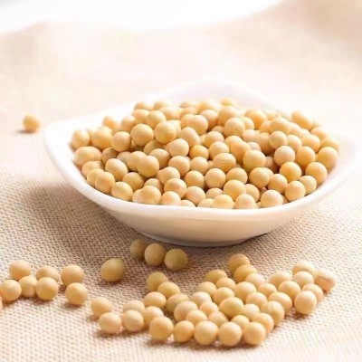 2023年有机黄豆东北非转基因打豆浆生豆芽4斤包邮营养方便图5