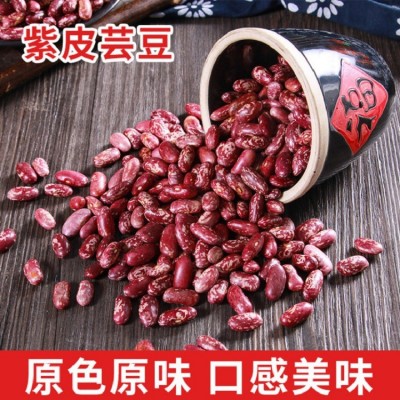 农家自产紫芸豆批发当季大粒紫芸豆菜豆腰豆四季豆五谷杂粮豆子