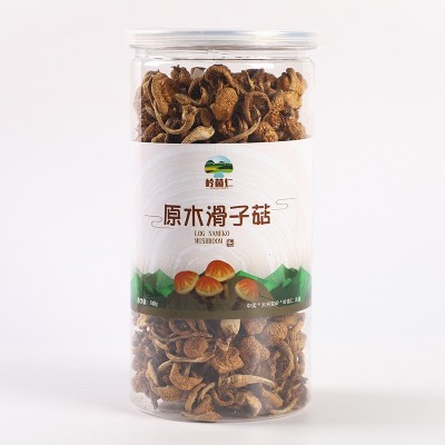 东北滑子菇 黑龙江特产肉厚干货罐装420g小黄蘑 食用菌菇干货蘑菇图4