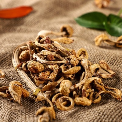 东北滑子菇肉厚黑龙江特产干货散装500g食用菌菇干货蘑菇批发图4