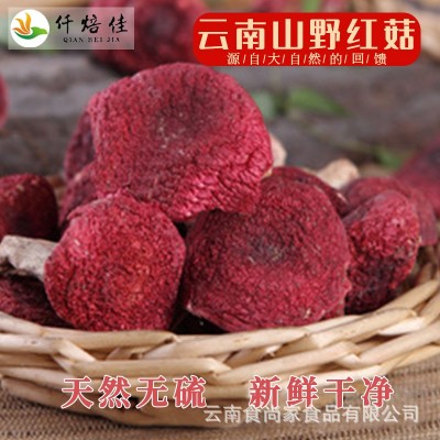 正宗红菇香甜红面菇小红菇干货批发食用菌蓝底正红菇熬汤食材批发图2