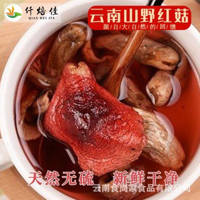 正宗红菇香甜红面菇小红菇干货批发食用菌蓝底正红菇熬汤食材批发图3