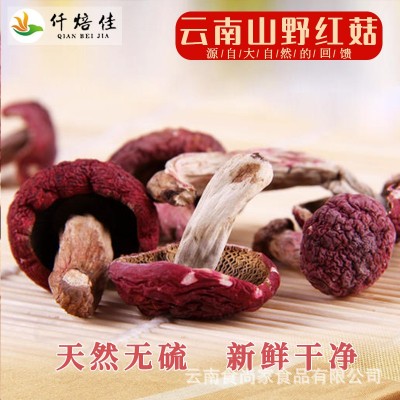 正宗红菇香甜红面菇小红菇干货批发食用菌蓝底正红菇熬汤食材批发图4