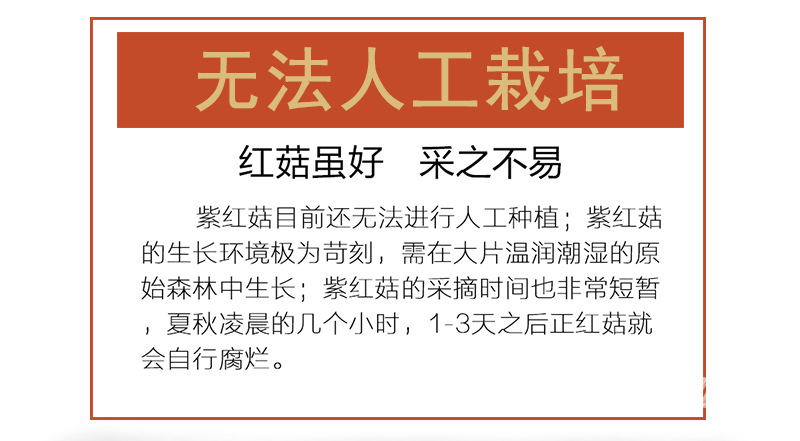 详情页_05.jpg