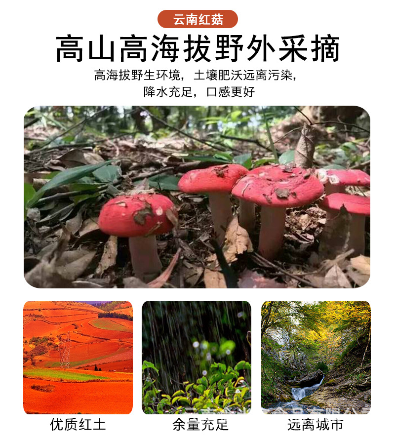 详情页_02.jpg