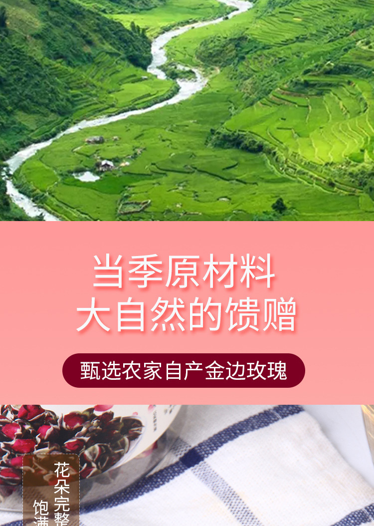 金边玫瑰_04