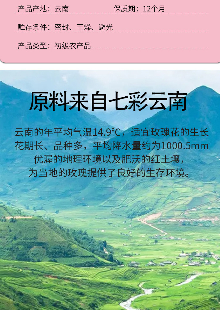 金边玫瑰_03