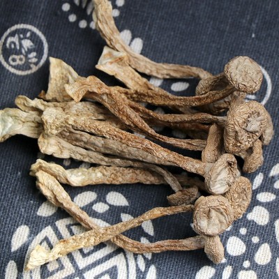 鹿茸菇鹿茸菌干货2022年新货无熏硫整件批发餐饮火锅煲汤新鲜脆菇图3