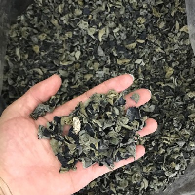 木耳云南特产云耳干货干木耳山货土特产代发木耳批发黑木耳小木耳图3