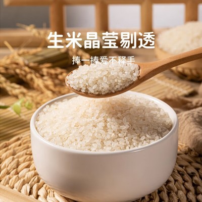 新农垦 崇明大米南粳46 5斤 10kg 粳米 当季新米真空包装大米批发图3