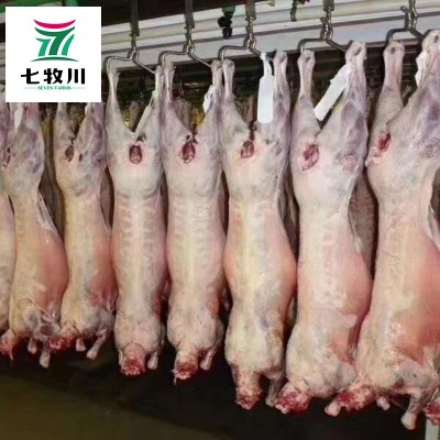 新西兰进口全羊 清真绵羊酮体羊腔子 餐饮食堂批发新鲜冷冻整羊图4