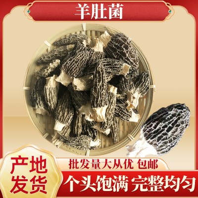 羊肚菌批发原产地头茬羊肚菌干货散装批发 食用羊肚菌批发 包邮
