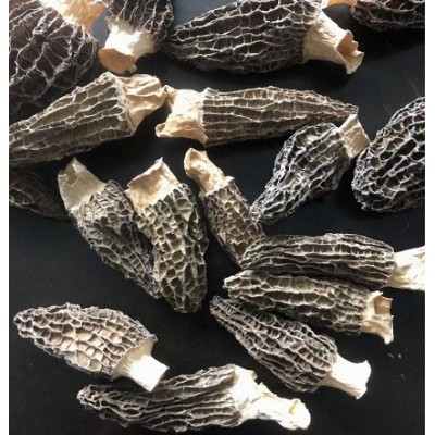 羊肚菌批发原产地头茬羊肚菌干货散装批发 食用羊肚菌批发 包邮图5