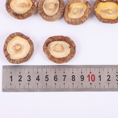 【一件代发】源野干香菇250g剪脚蘑菇香菇干货批发菌菇土特产新货图2