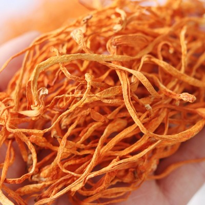 【一件代发】源野虫草花68克虫草干菌菇干货批发东北特产新货菌包图4