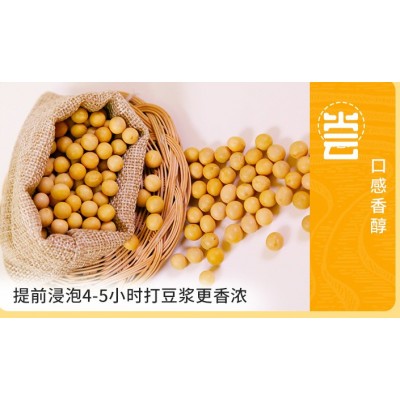 贯垄黄豆soybean厂家批发五谷杂粮大豆磨粉豆浆原料图2
