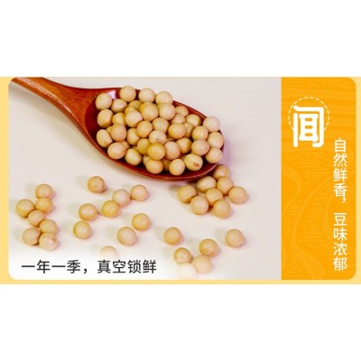 贯垄黄豆soybean厂家批发五谷杂粮大豆磨粉豆浆原料图3