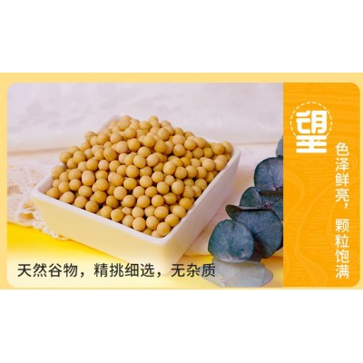 贯垄黄豆soybean厂家批发五谷杂粮大豆磨粉豆浆原料图4