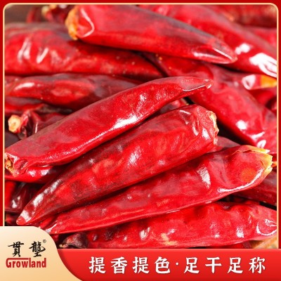 贯垄小三樱干辣椒red pepper皱皮椒微辣特香火锅底料调味品图2