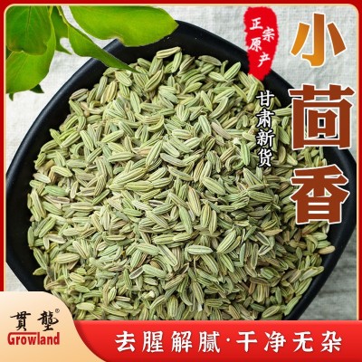 贯垄小茴香fennel烧菜火锅羊肉串调味料烧烤粉烤肉烤鱼香辛撒料图2