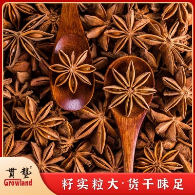 贯垄不带柄八角Star Anise新货无硫大料大茴香卤肉火锅调味料佐料图2