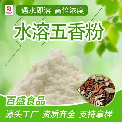 水溶五香粉1kg起高倍浓度遇水即溶五香粉调味料香辛料厂家批发图2