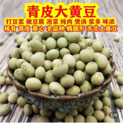 2023年粉青大黄豆 农家青皮黄心单青豆非转基因老品种黄豆