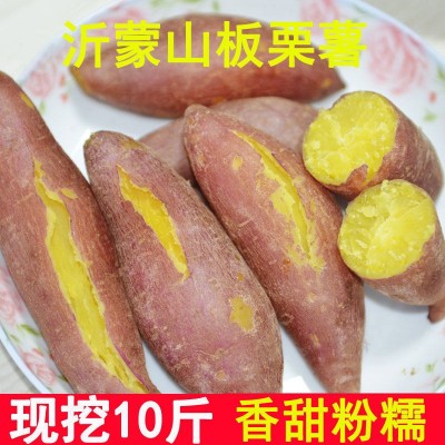 红薯批发板栗红薯新鲜地瓜蜜薯沙地黄心香小番薯蔬菜2/5/10斤工厂