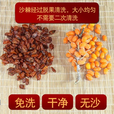 沙棘果 新疆沙棘果干特产干果正品新货新鲜果干500批发图5