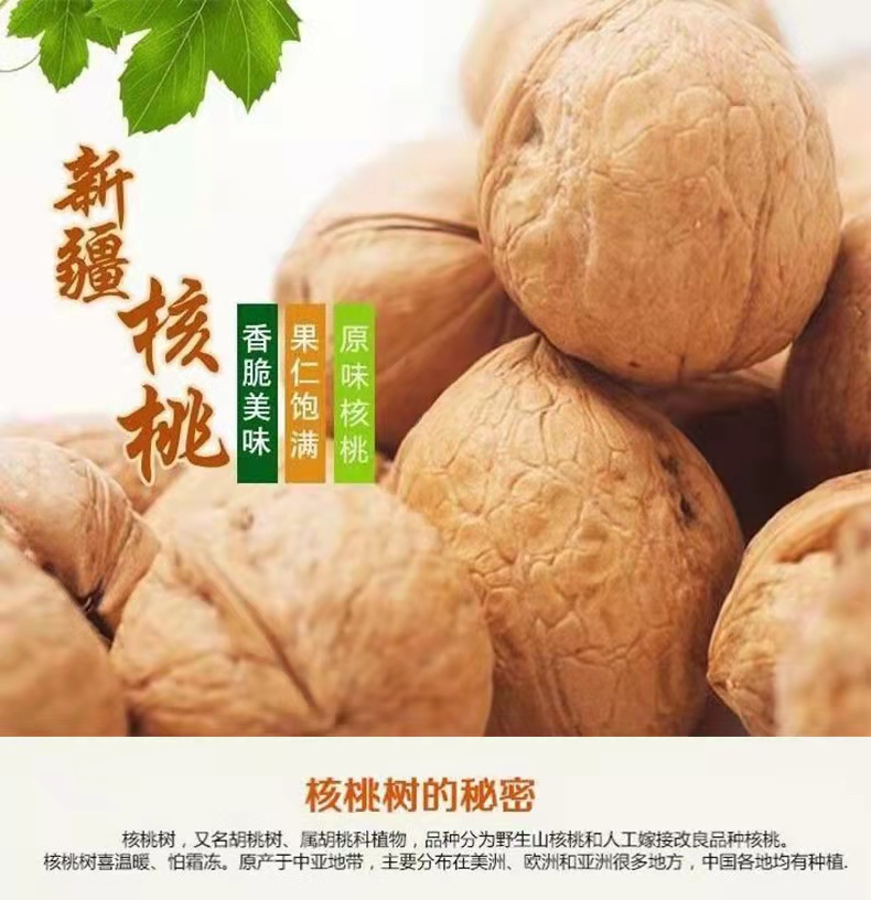 详情页1