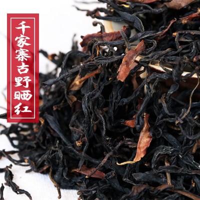 红茶野茶批发千家寨云南普洱茶红茶2023头春古树花果香荒 野古树茶