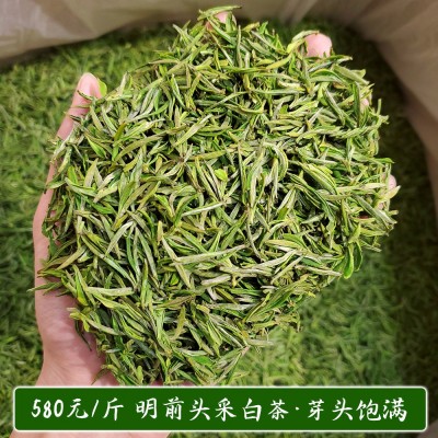 2023新茶上市明前白茶叶毛峰型凤形500g产地货源高山绿茶散装批发  2斤图5
