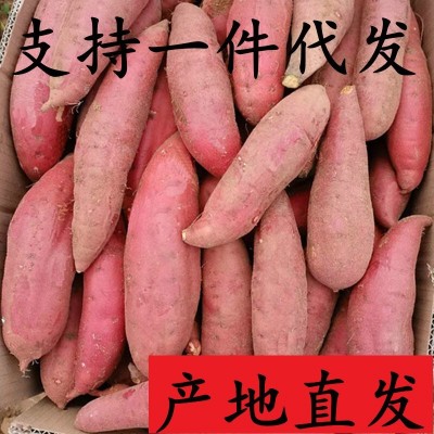 2023新果烟薯25号流油杂粮番薯蜜薯红薯紫薯鲜板栗烤地瓜专用批发