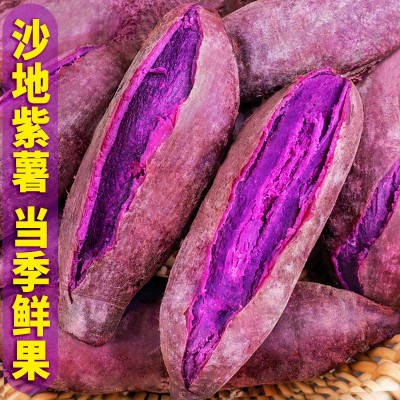 2023新果烟薯25号流油杂粮番薯蜜薯红薯紫薯鲜板栗烤地瓜专用批发图5