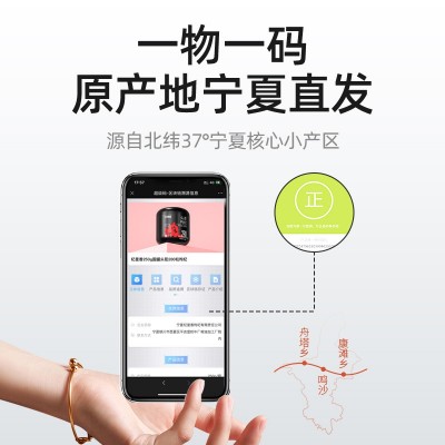 【杞里香】头茬枸杞特优级250g罐宁夏中宁红枸杞男肾大果 厂家批发图5