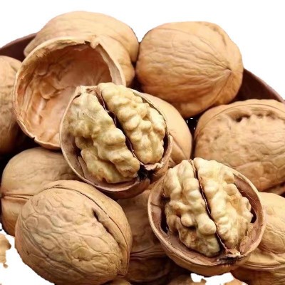 批发新货新疆185核桃 新疆阿克苏纸皮核桃水洗量大优惠