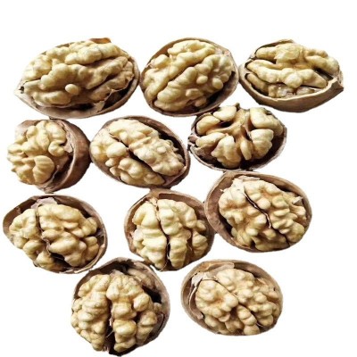 批发新货新疆185核桃 新疆阿克苏纸皮核桃水洗量大优惠图5