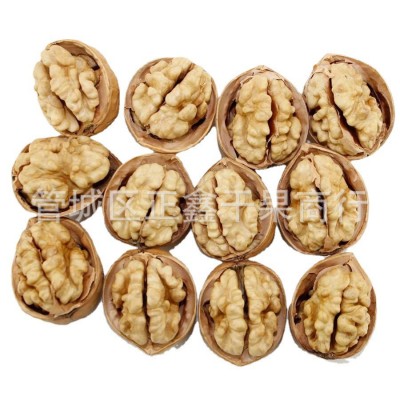 批发新货新疆185核桃 新疆阿克苏纸皮核桃水洗量大优惠图4