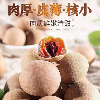 大双A桂圆干福建莆田特产新货龙眼干桂圆肉非无核个大厂家供货图2