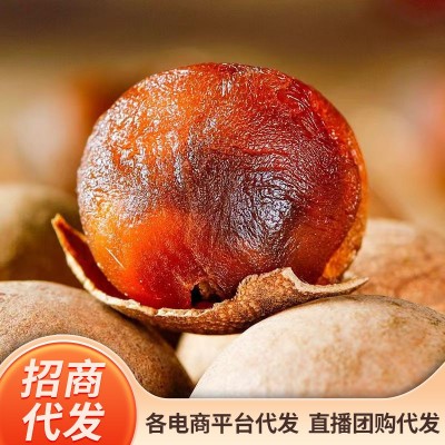 桂圆干【代发】莆田干桂圆250g 龙眼干小核厚肉泡水桂圆龙眼干