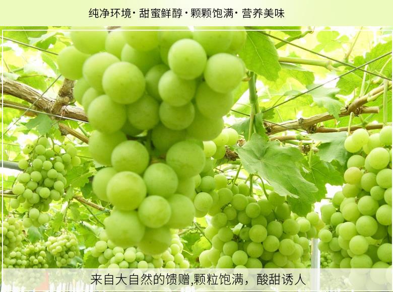360截图20190720164020427